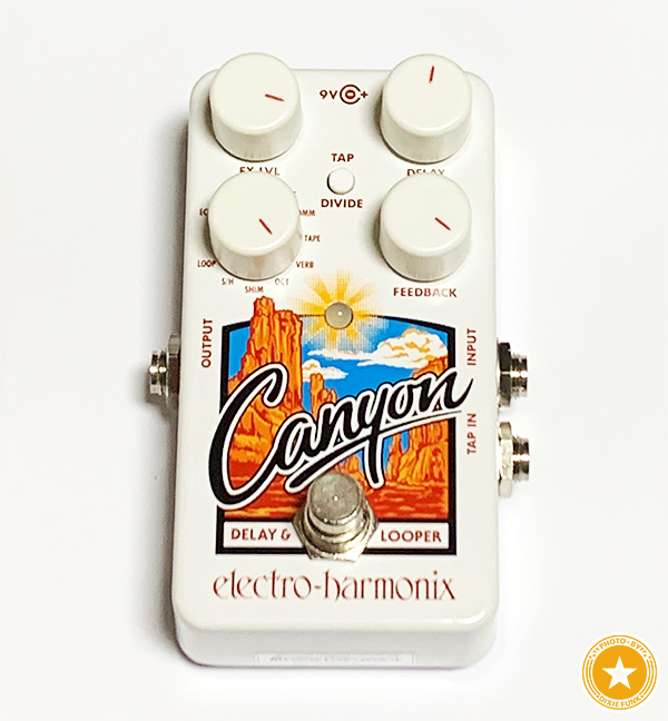 ルーパーとしても使える便利なギターエフェクター！新しくなったエレクトロ・ハーモニックス社のディレイペダル『Cyanon』をご紹介したブログ記事の画像1枚目