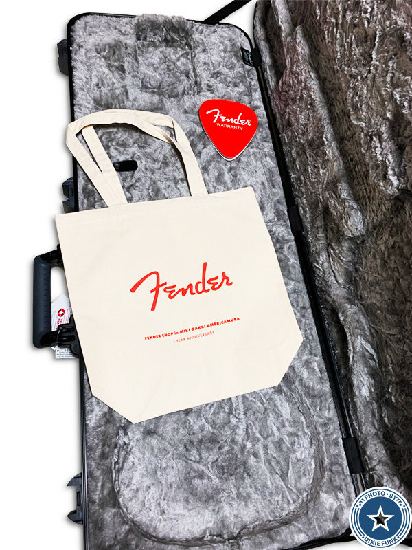 6年振りに購入した新しいギター『AMERICAN PROFESSIONAL II』をご紹介したブログ記事の写真5枚目