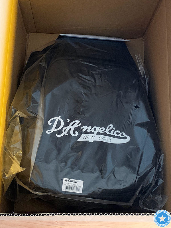 プレゼント企画で当選したD’Angelico（ディアンジェリコ）のギグバックの写真1枚目