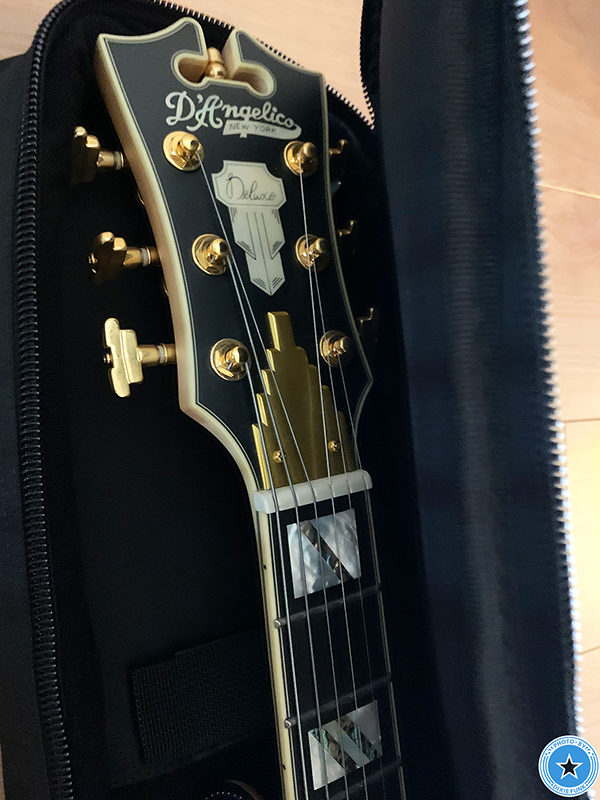 プレゼント企画で当選したD’Angelico（ディアンジェリコ）のギグバックの写真8枚目